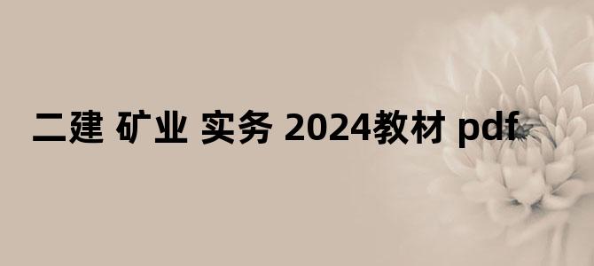 '二建 矿业 实务 2024教材 pdf'